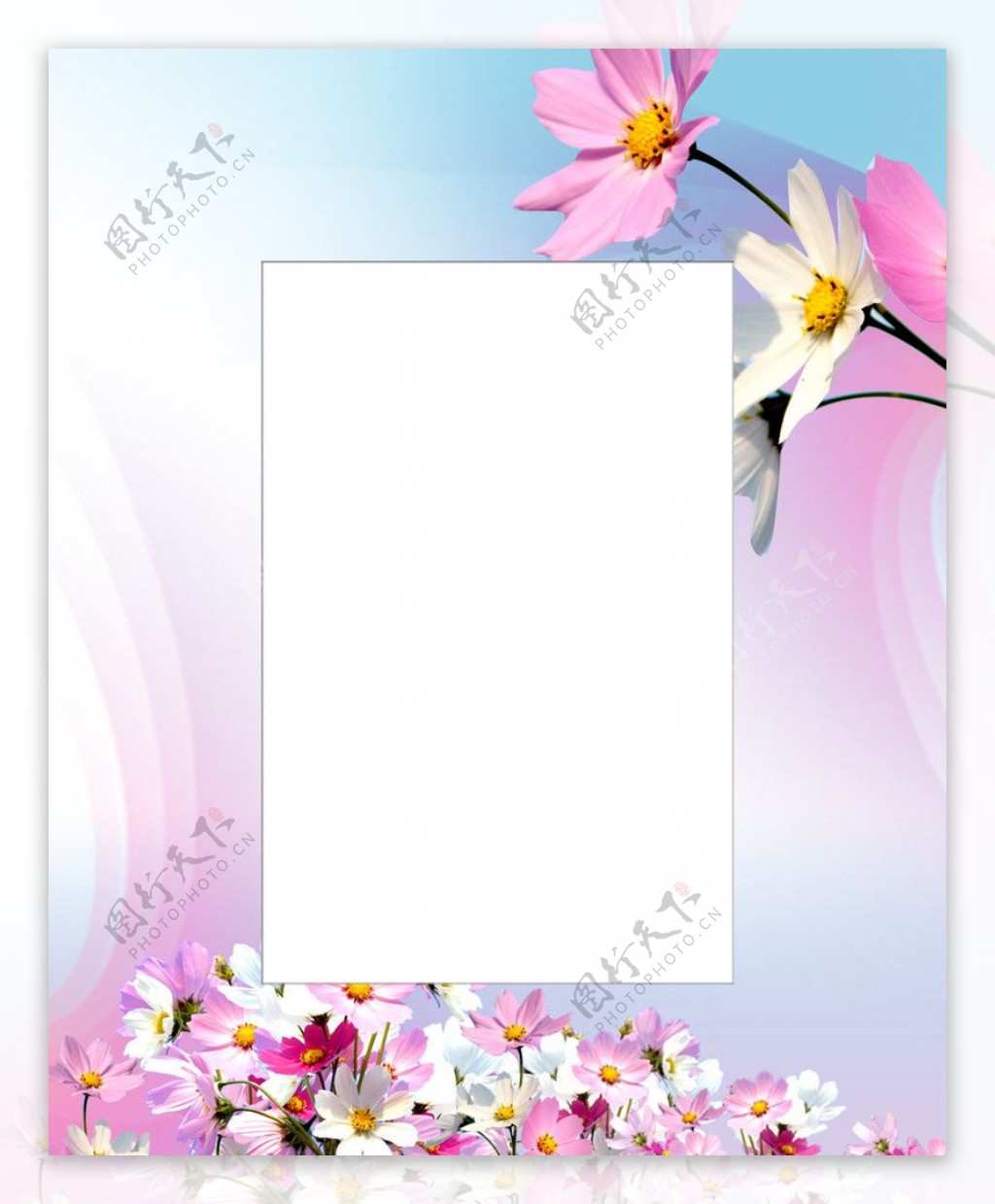 花卉相框图片