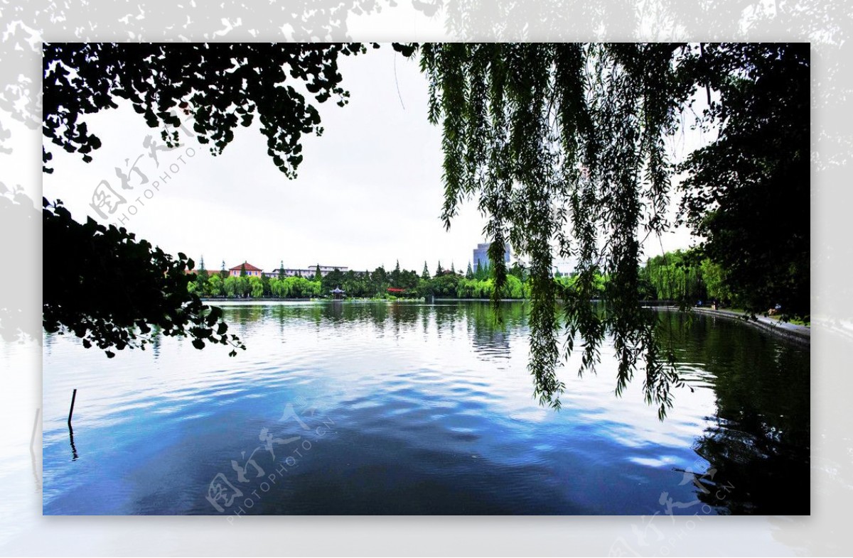 杭州市华家池风景图片