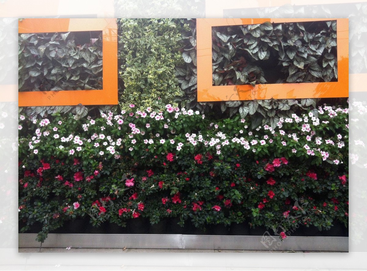 花木社区—室外花墙（北京园博会案例）—花木商情网