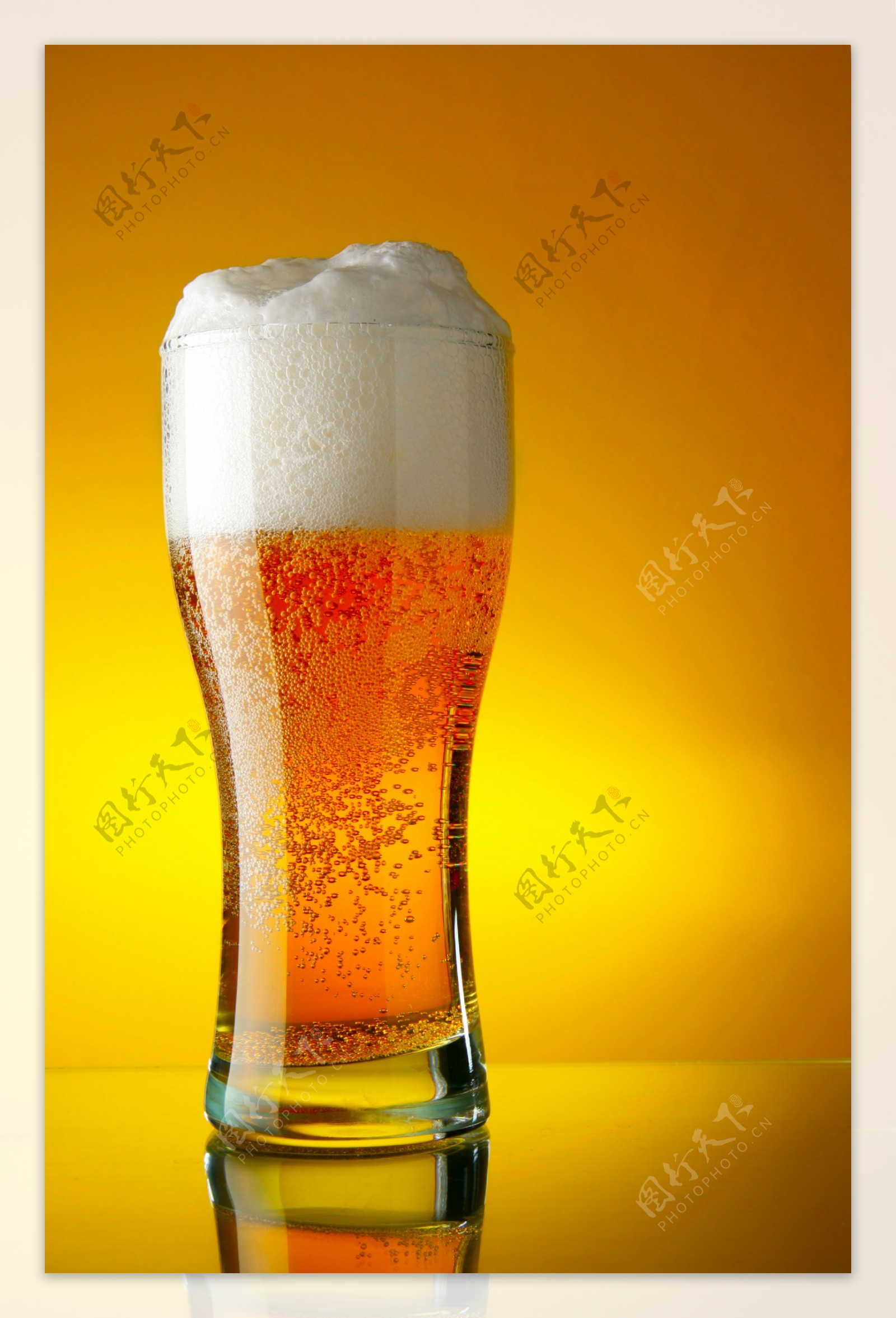一杯啤酒图片