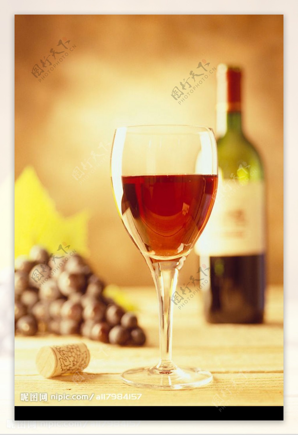葡萄酒系列红酒图片