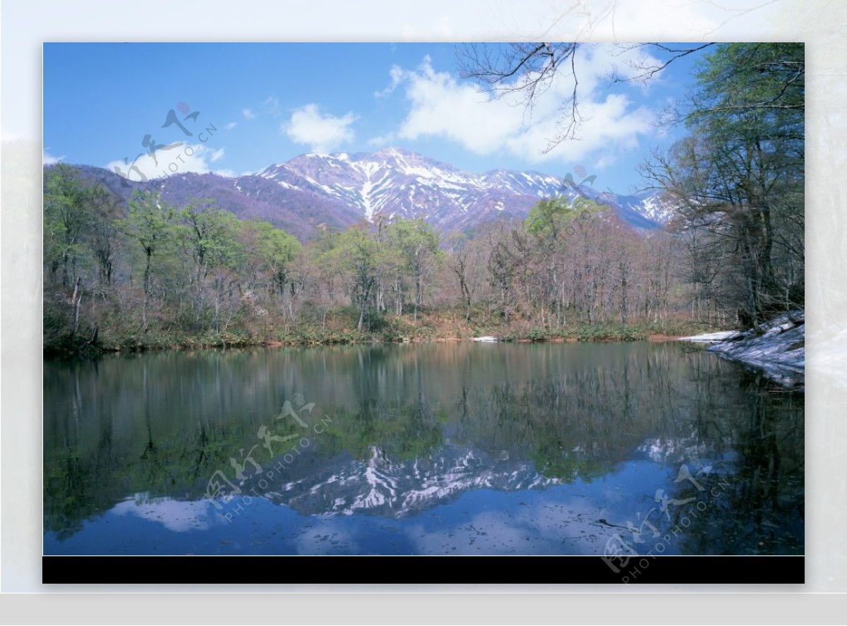 雪山树林湖泊图片