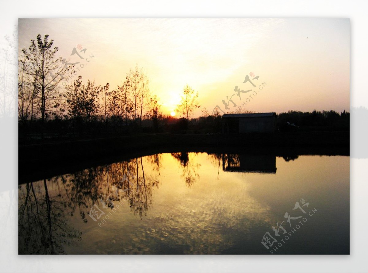 夕阳下的渔塘图片