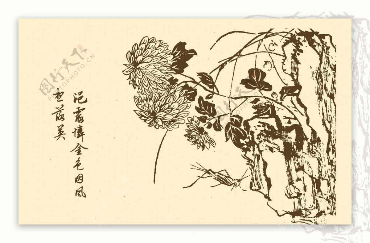 芥子园画谱花卉图片