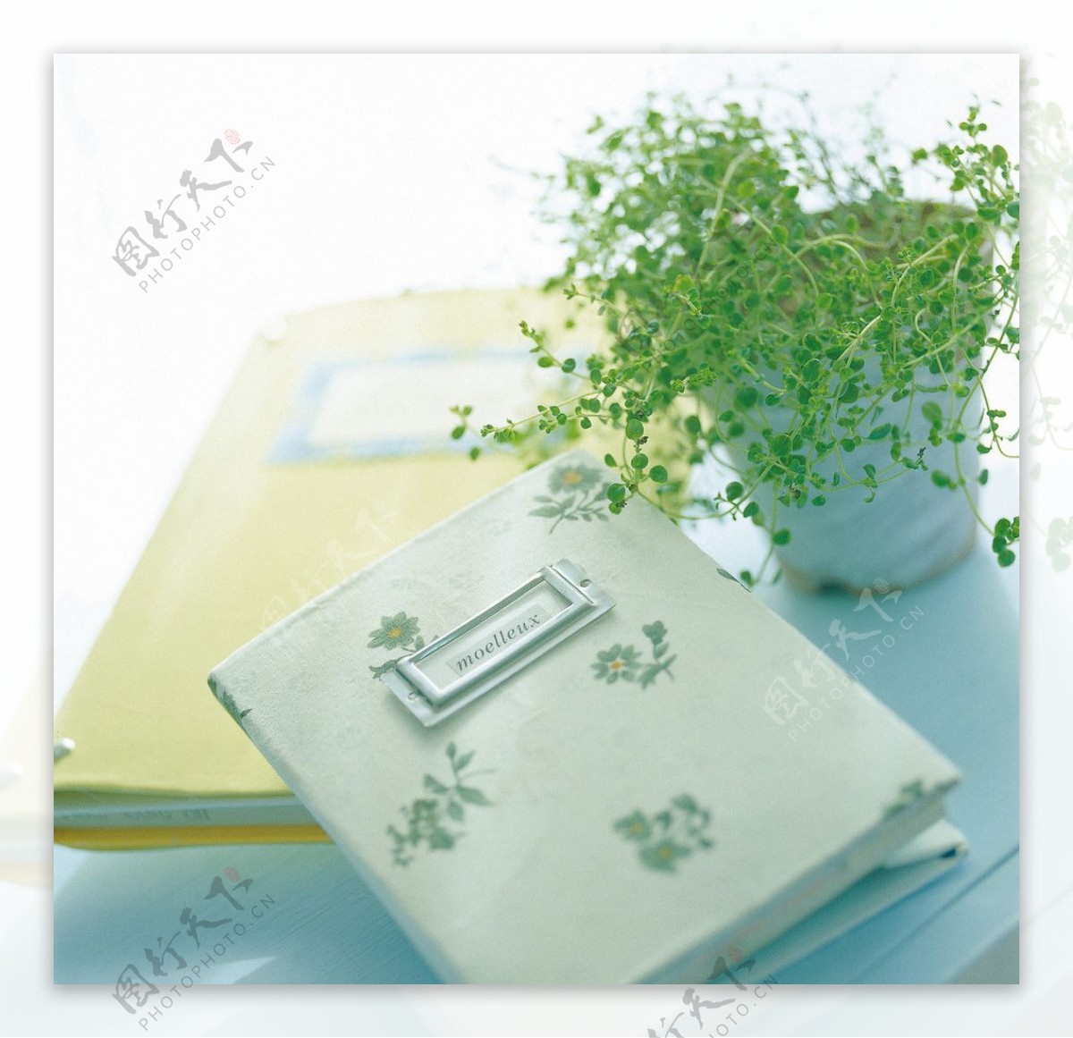 笔记本与盆栽图片