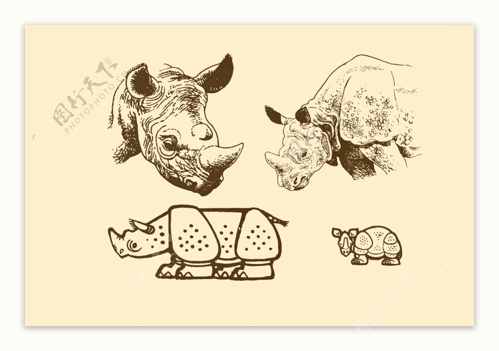 动物图案犀牛图片