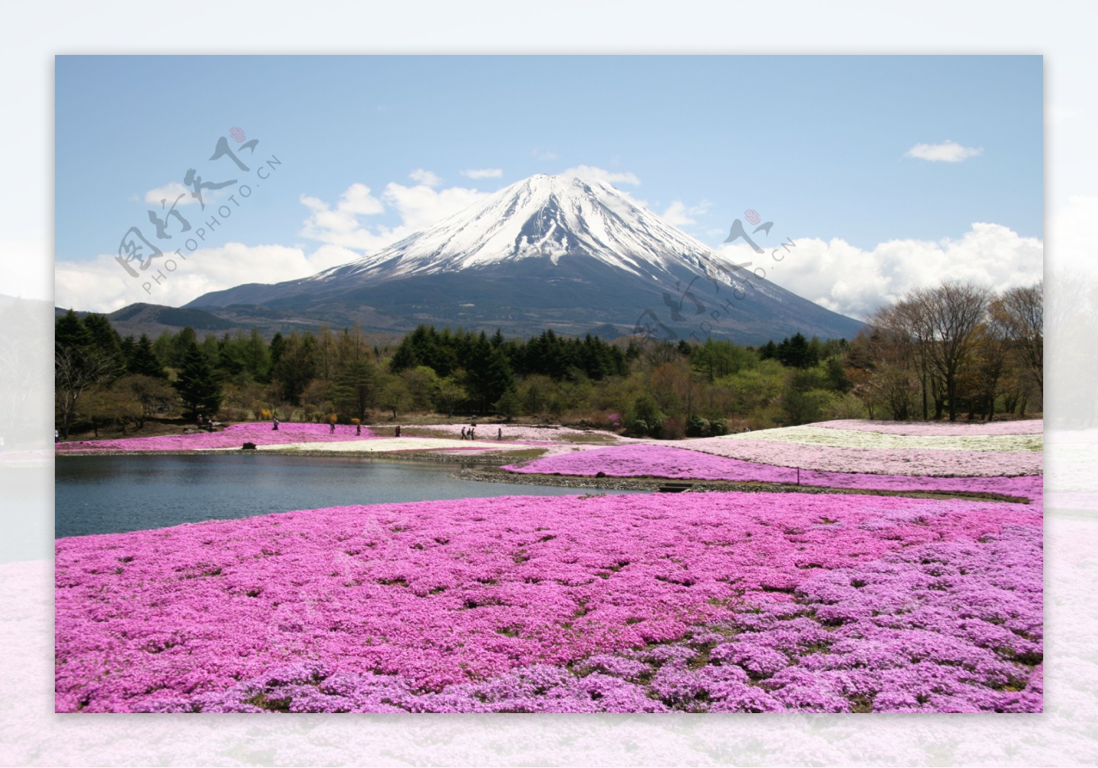 富士山景图片