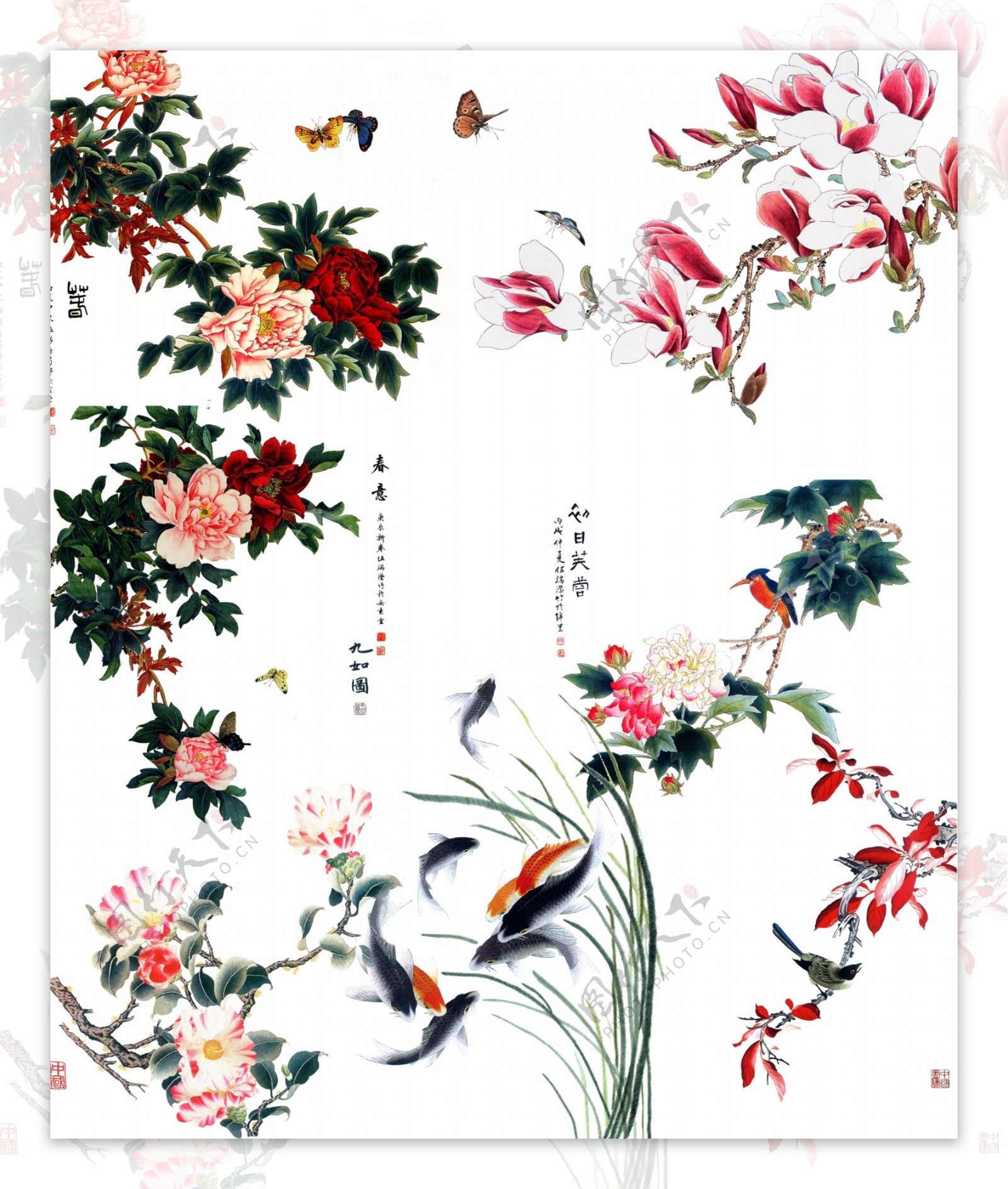 中国风工笔花鸟图片