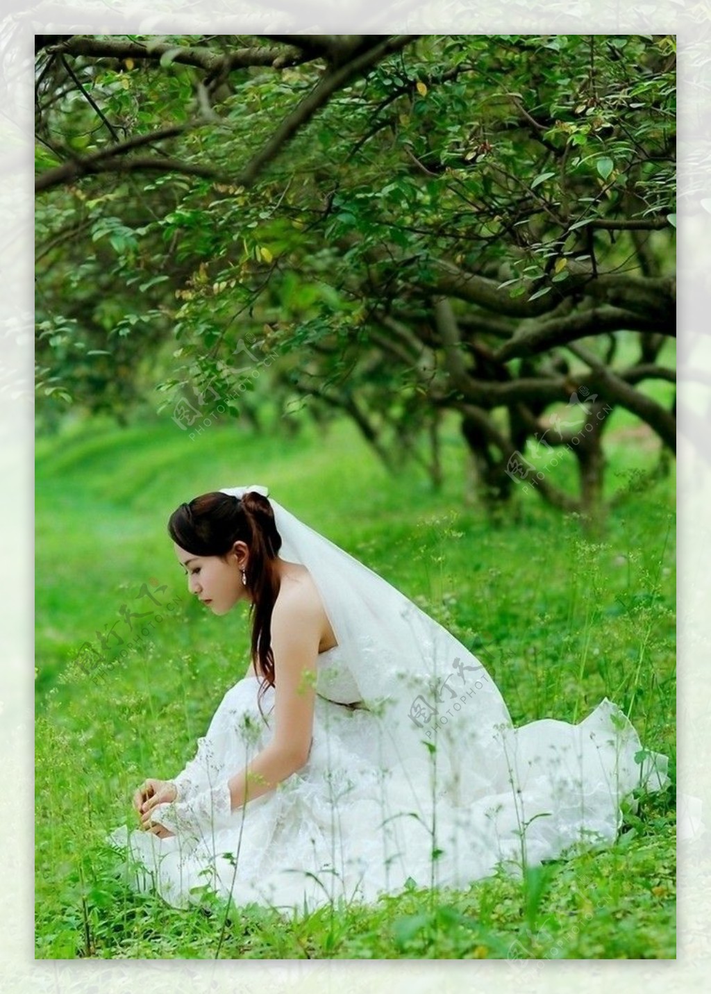 草地上的婚纱美女图片