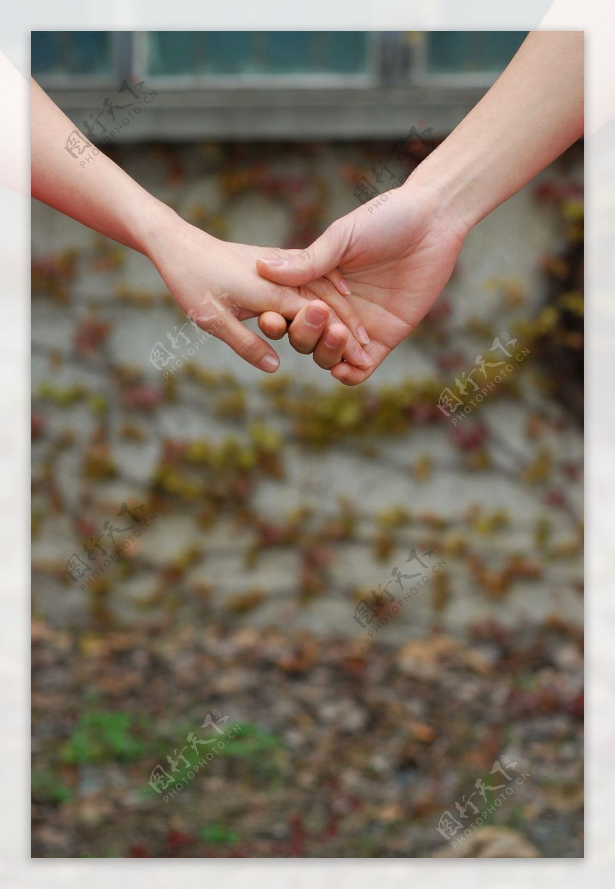 A Family Park Walks Hand In Hand Picture And HD Photos | Free Download On Lovepik