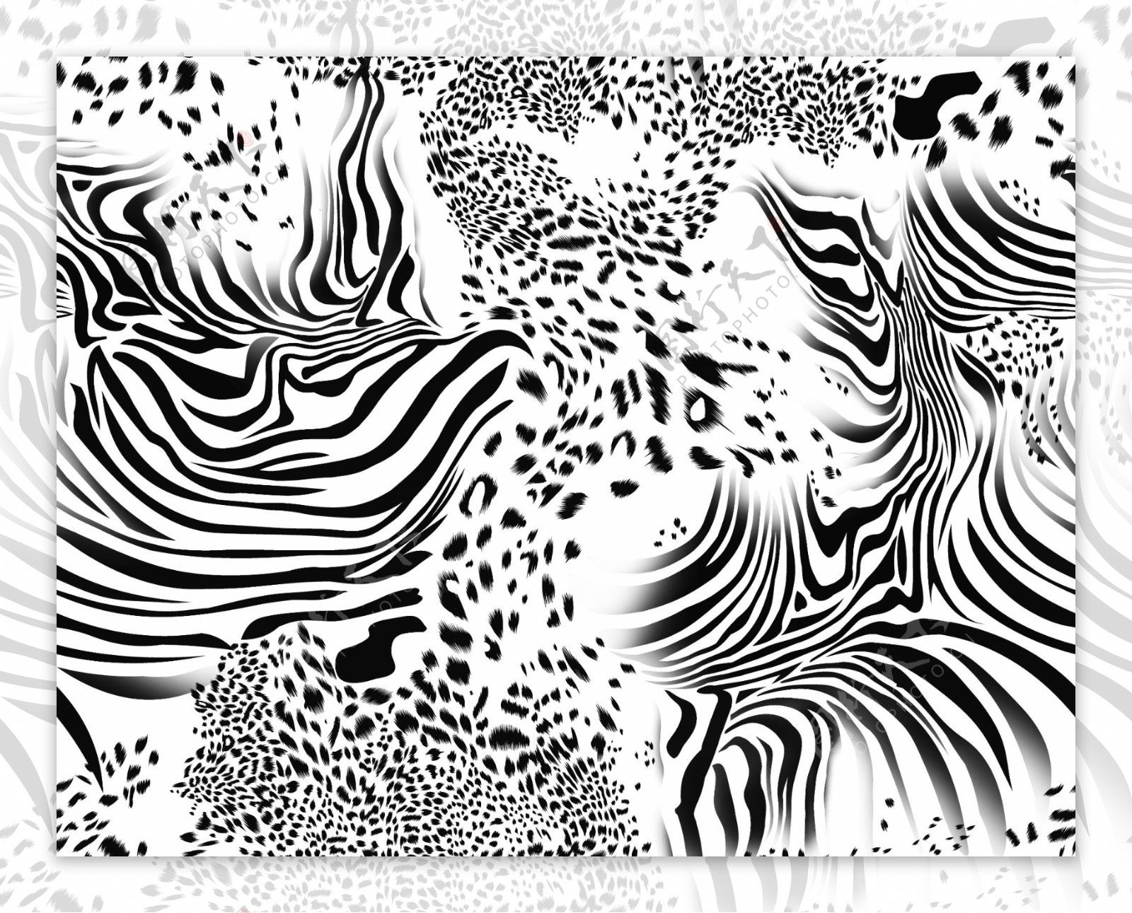 斑马豹纹图片