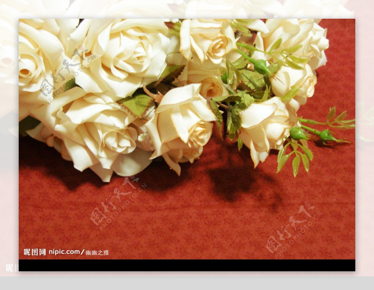 白色玫瑰花纹图片