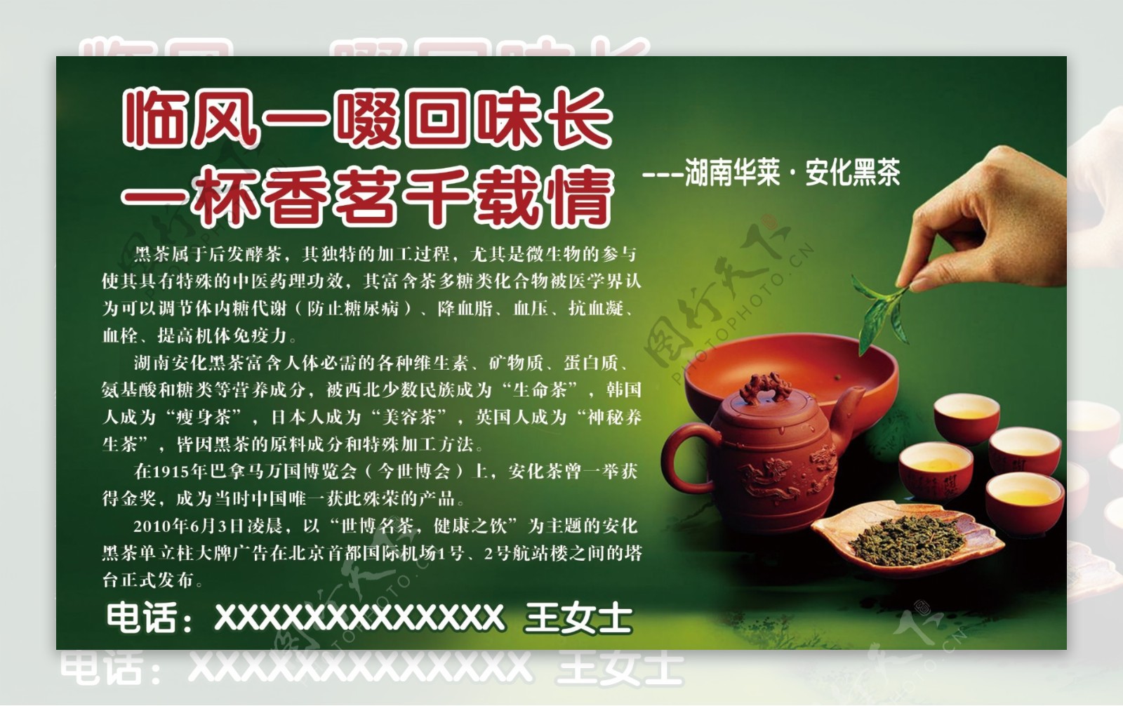 湖南华莱安化黑茶素材图片