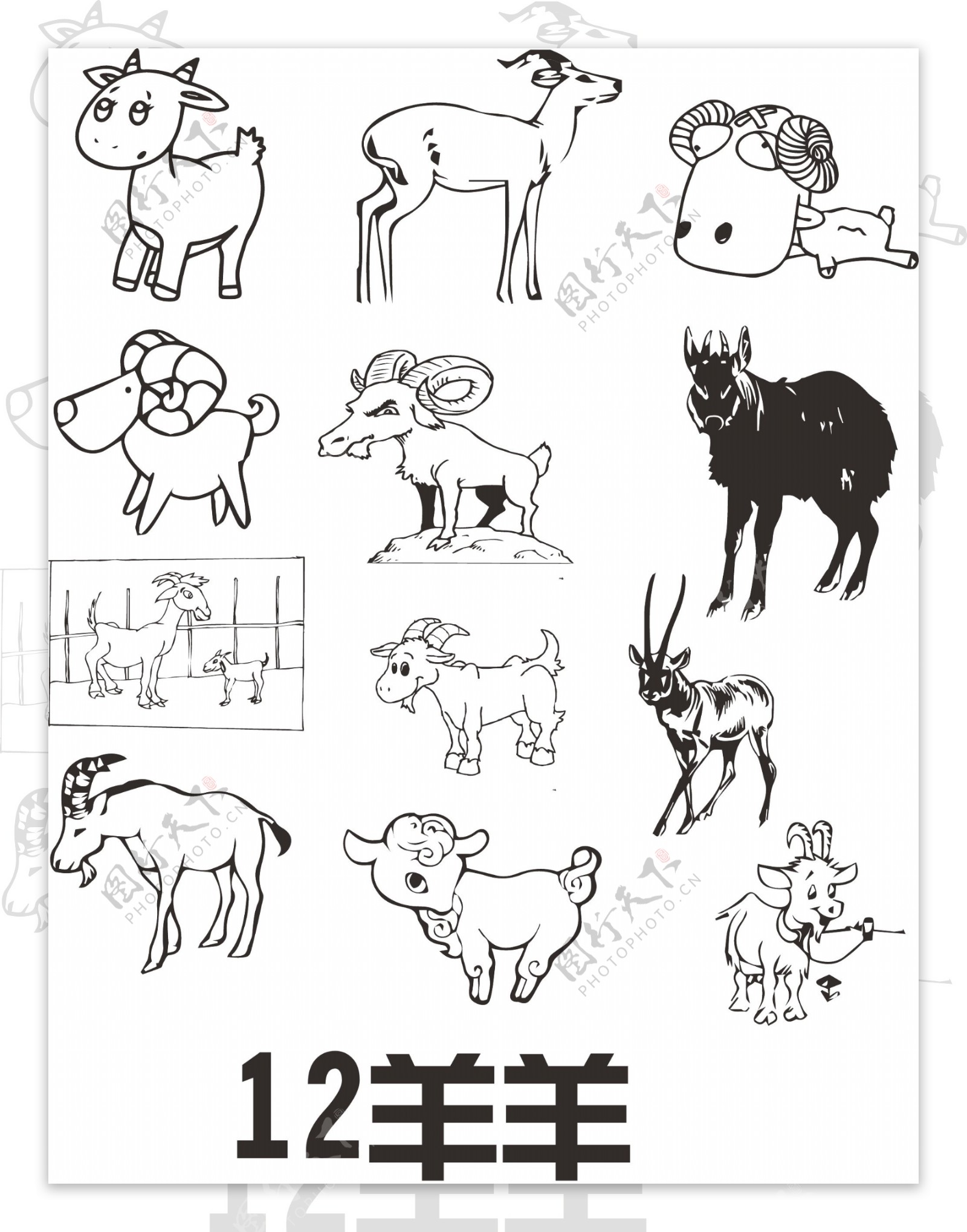 12羊羊图片