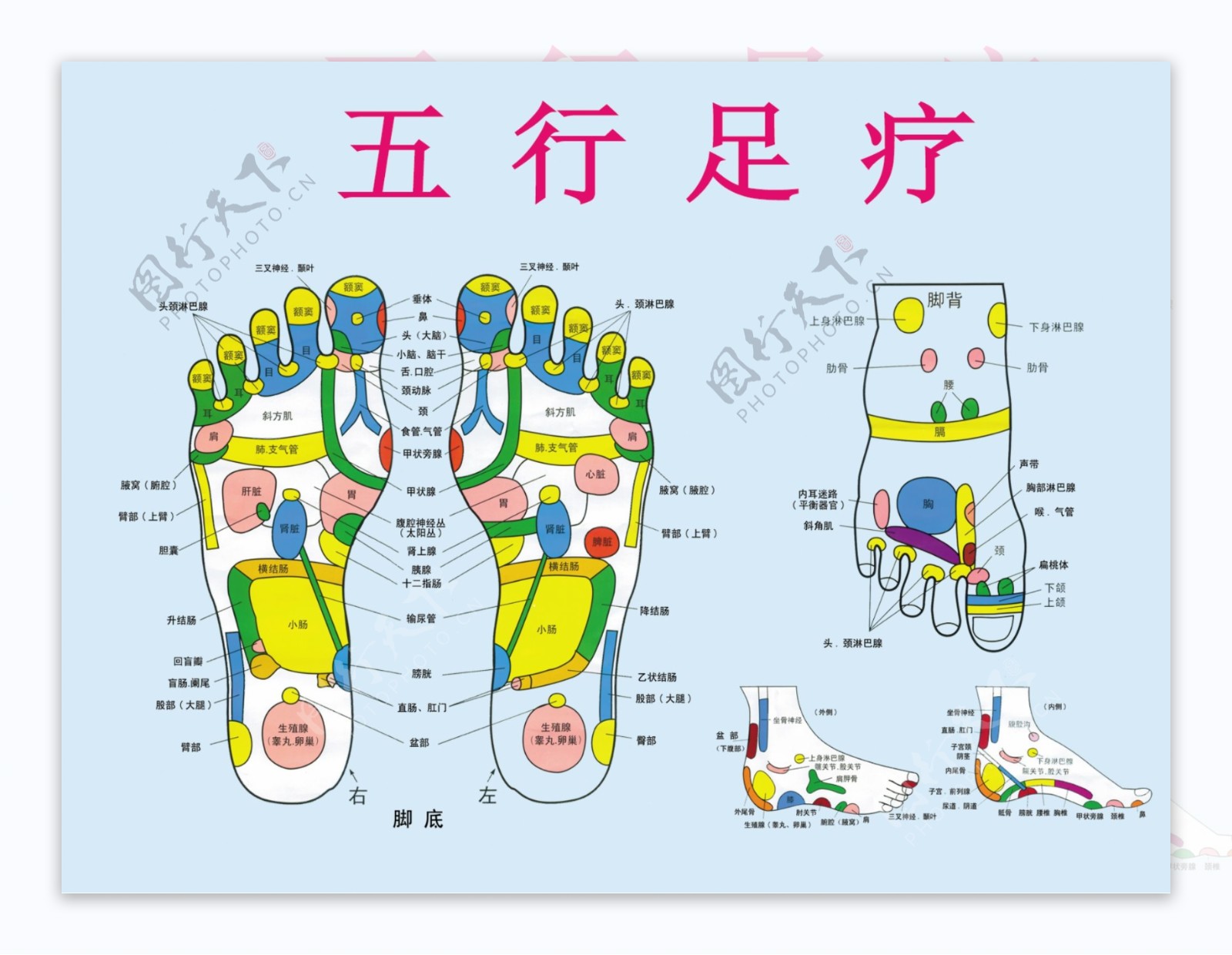 五行足疗图片