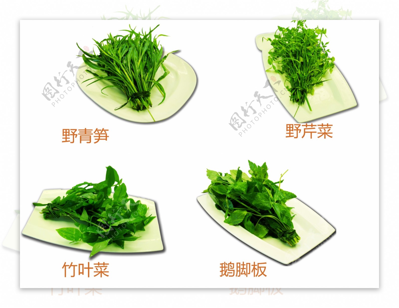 野菜素材图片