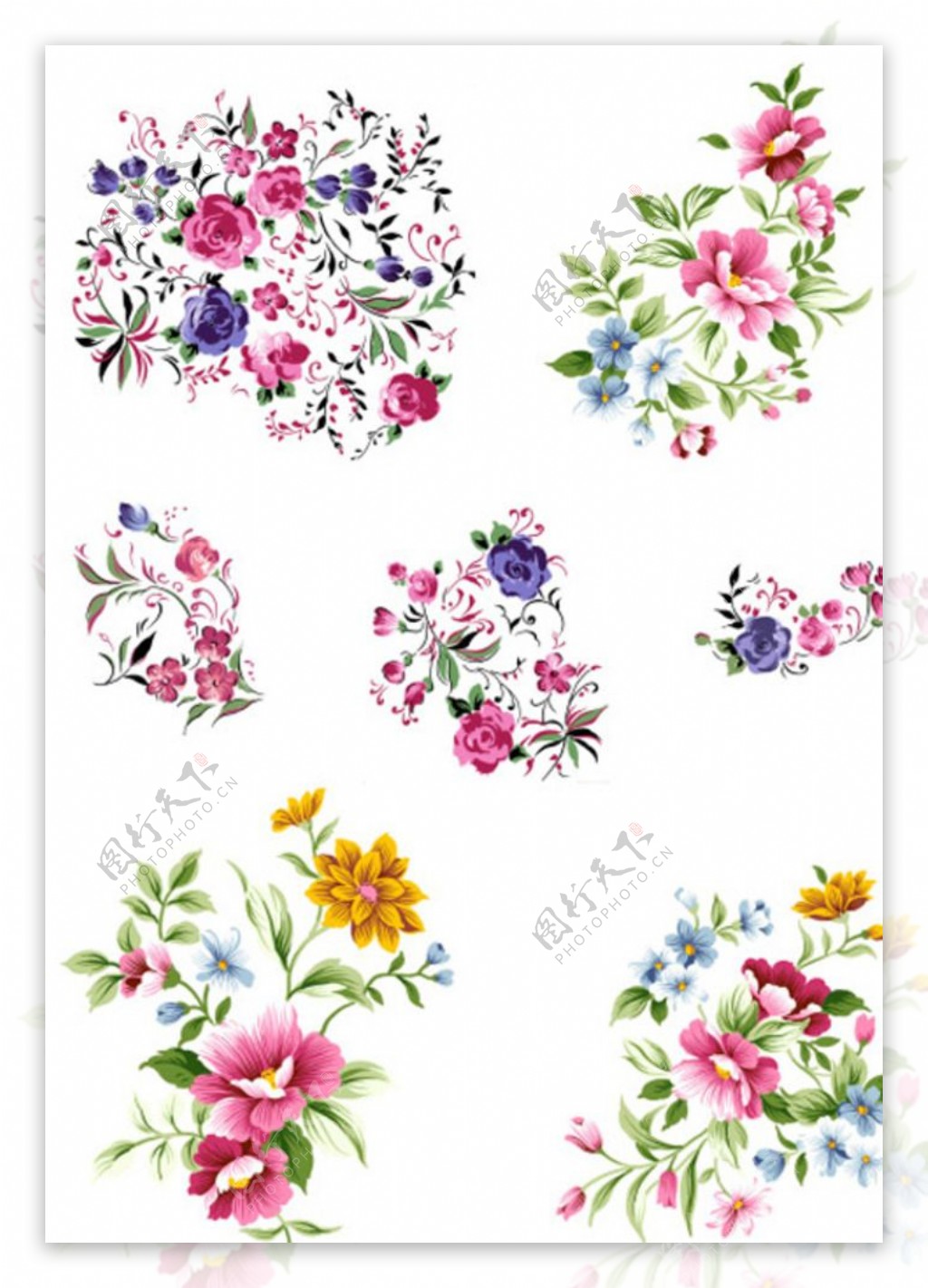 花卉PSD分层素材图片