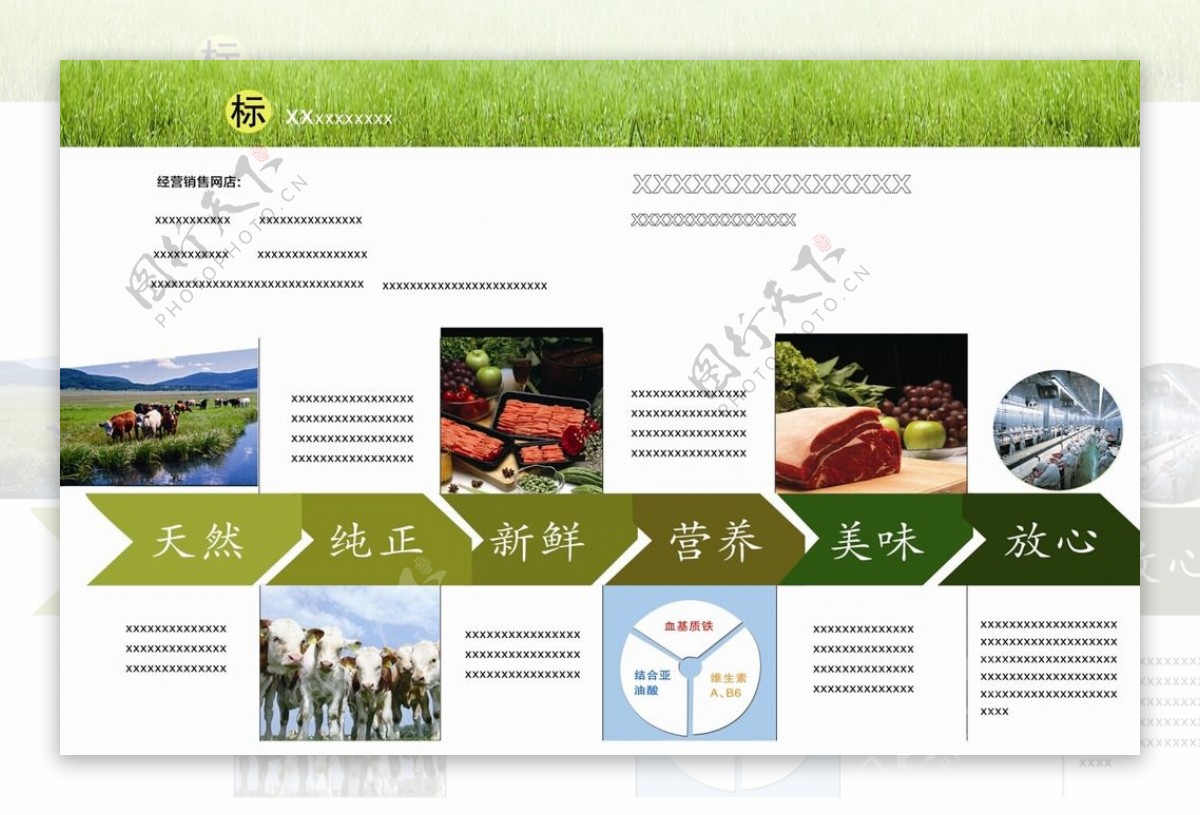 牛肉宣传单页图片