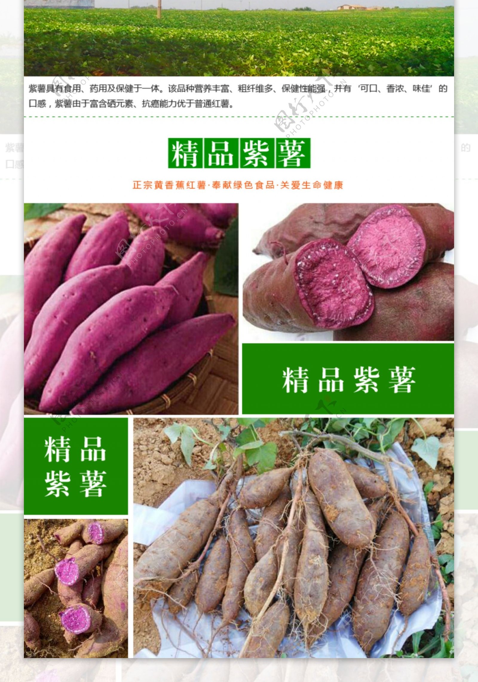 淘宝蔬菜紫薯详情设计图片