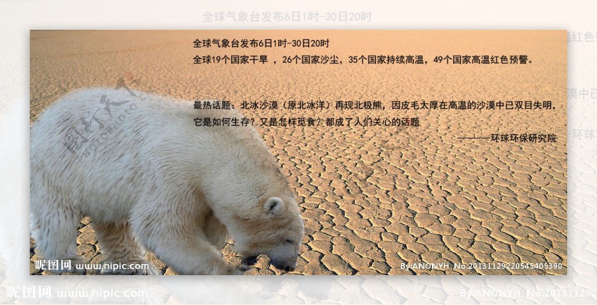 南极大熊猫图片