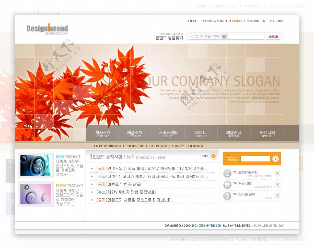 韩国网站模板秋天枫叶图片