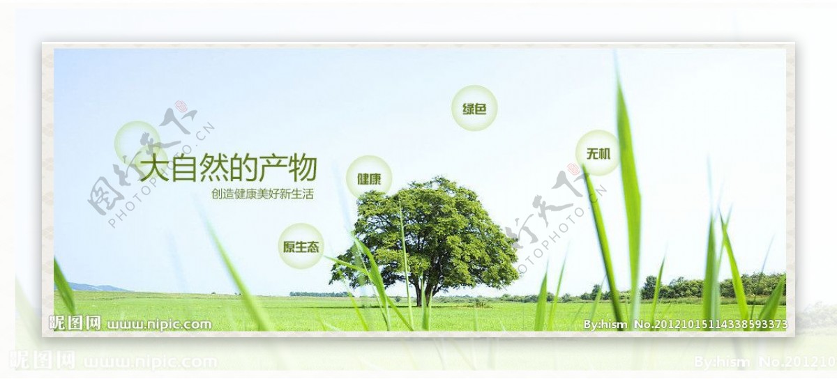 绿色生态banner图片