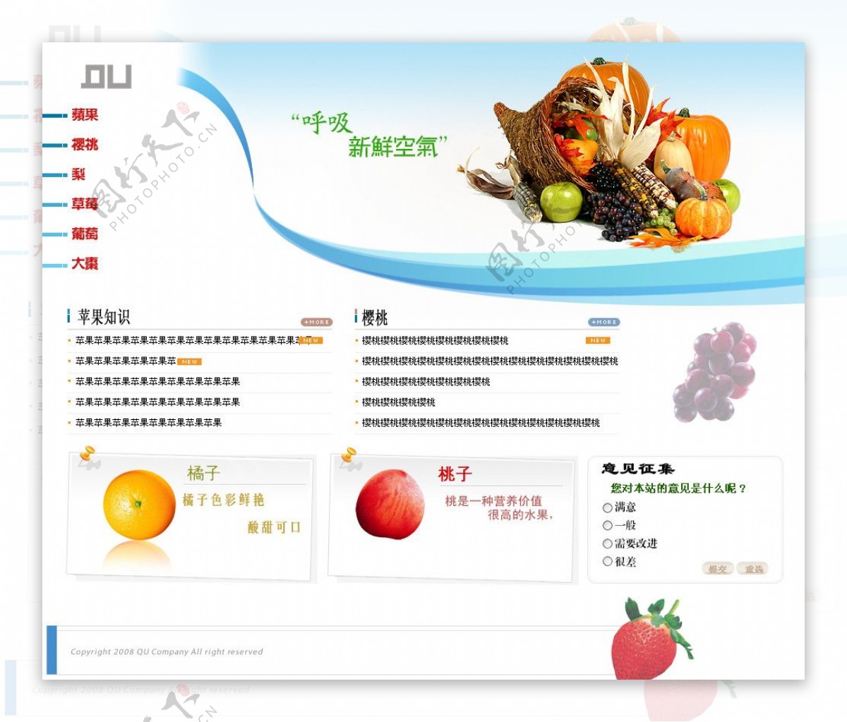 水果类网站图片