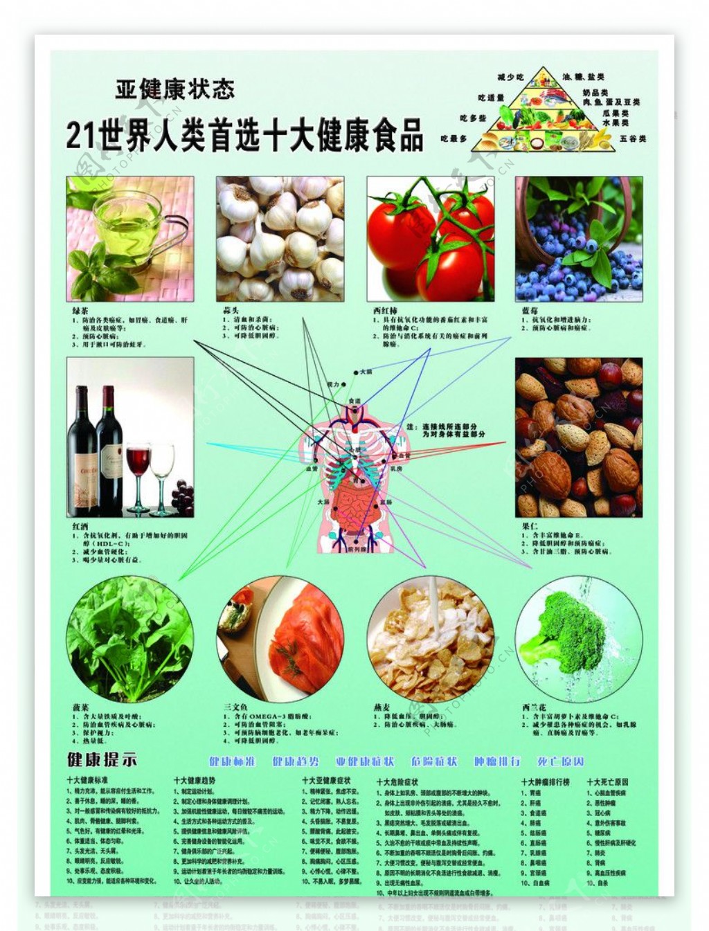 十大保健食品海报图片