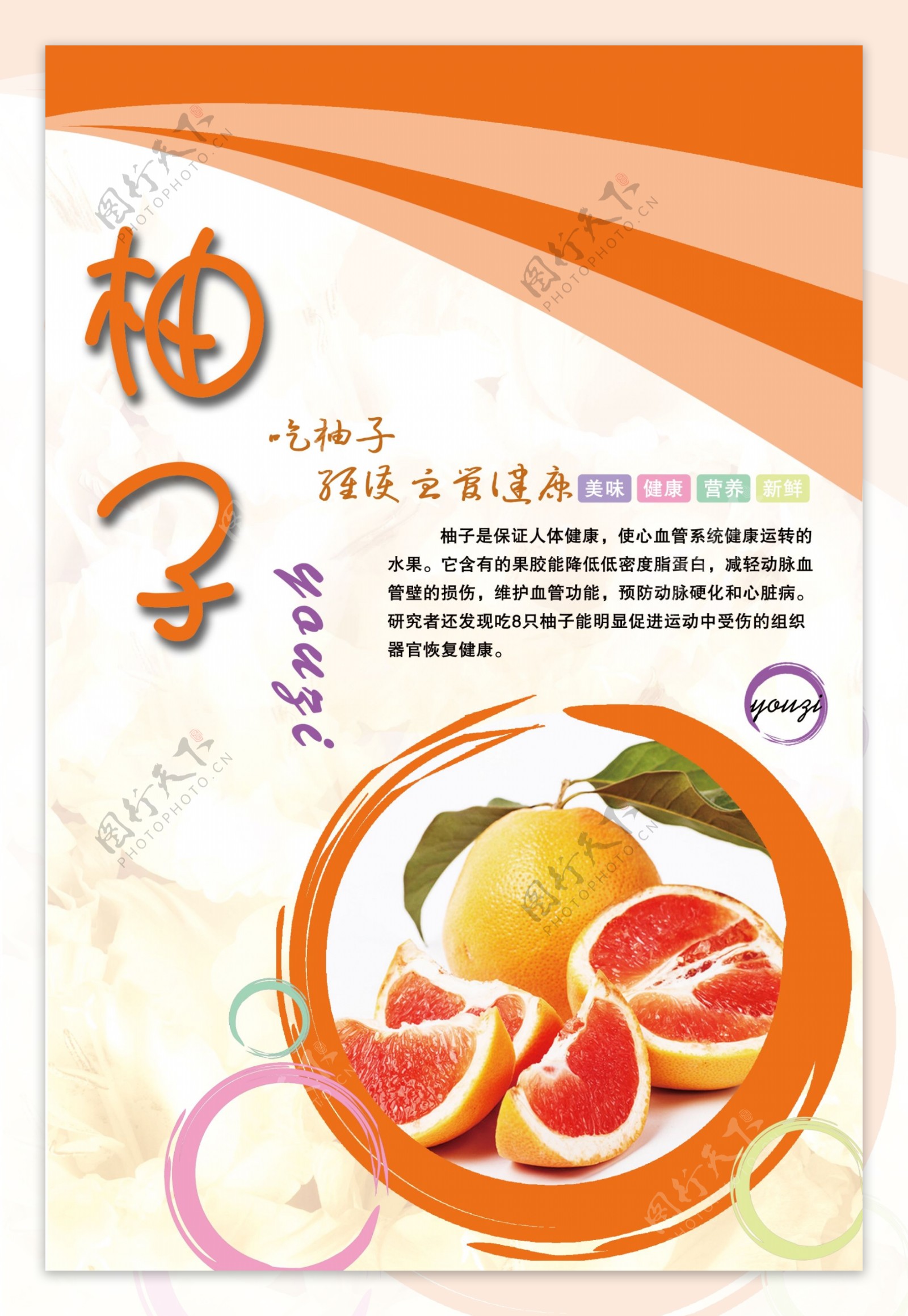 柚子水果海报图片