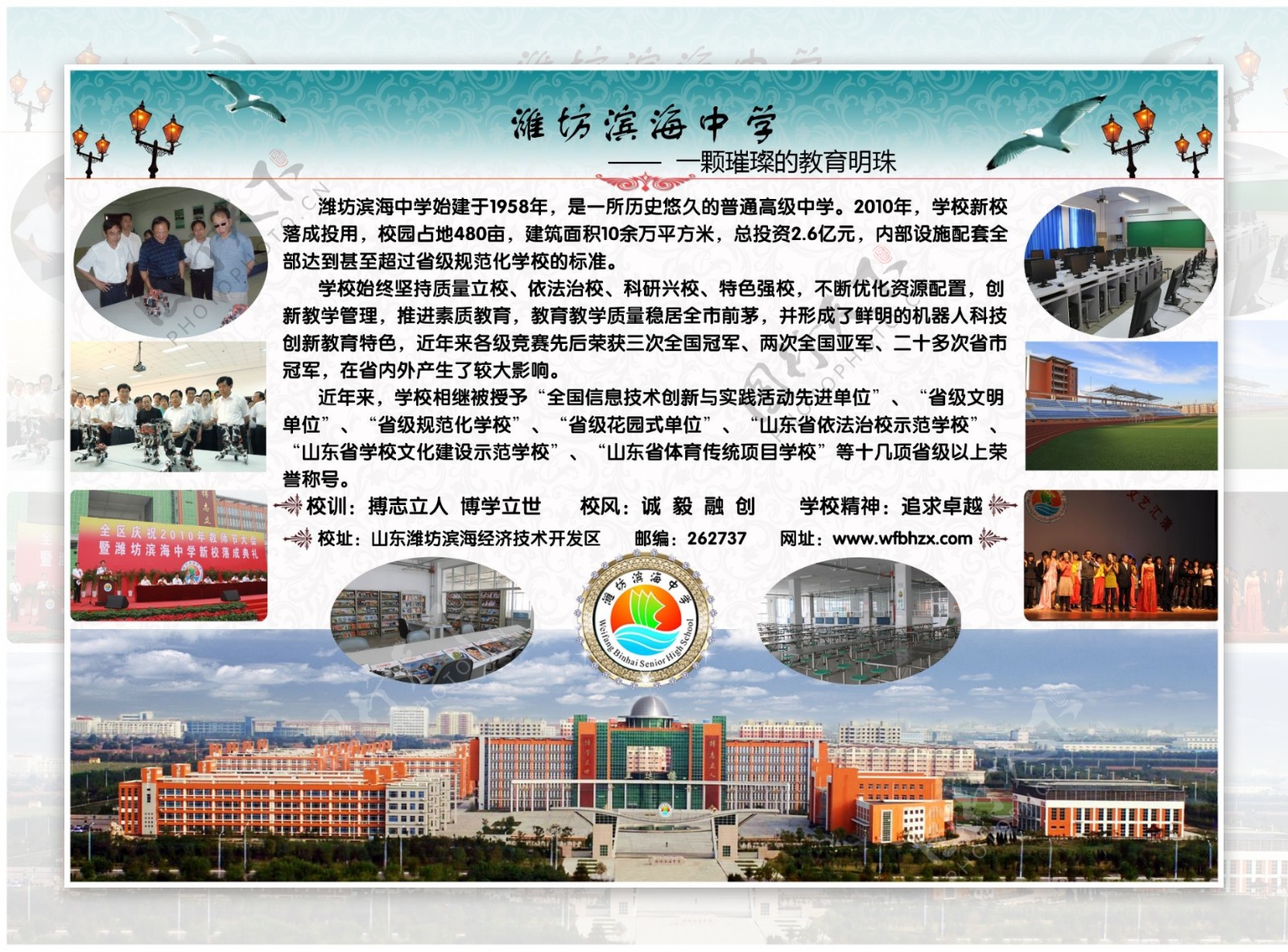 潍坊滨海中学宣传页图片