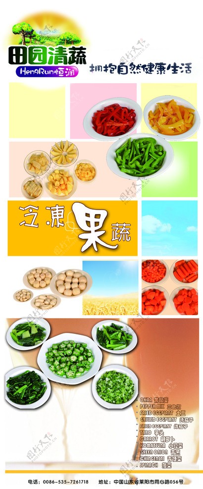 恒润食品海报折页图片