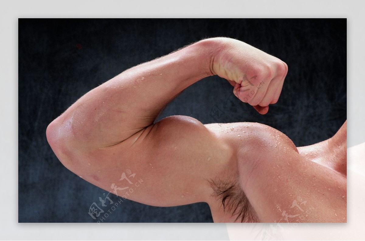 男性肌肉图片