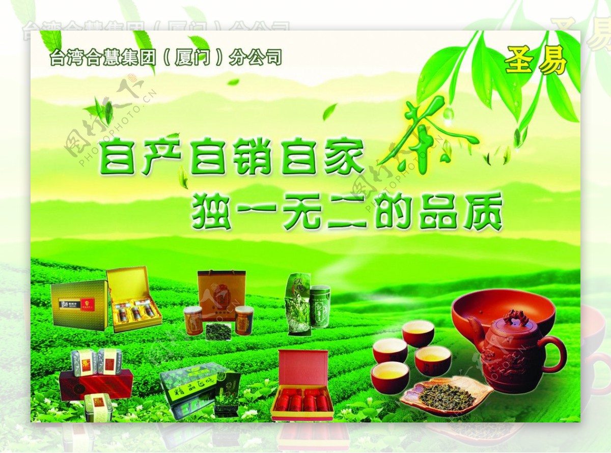 茶业广告图片