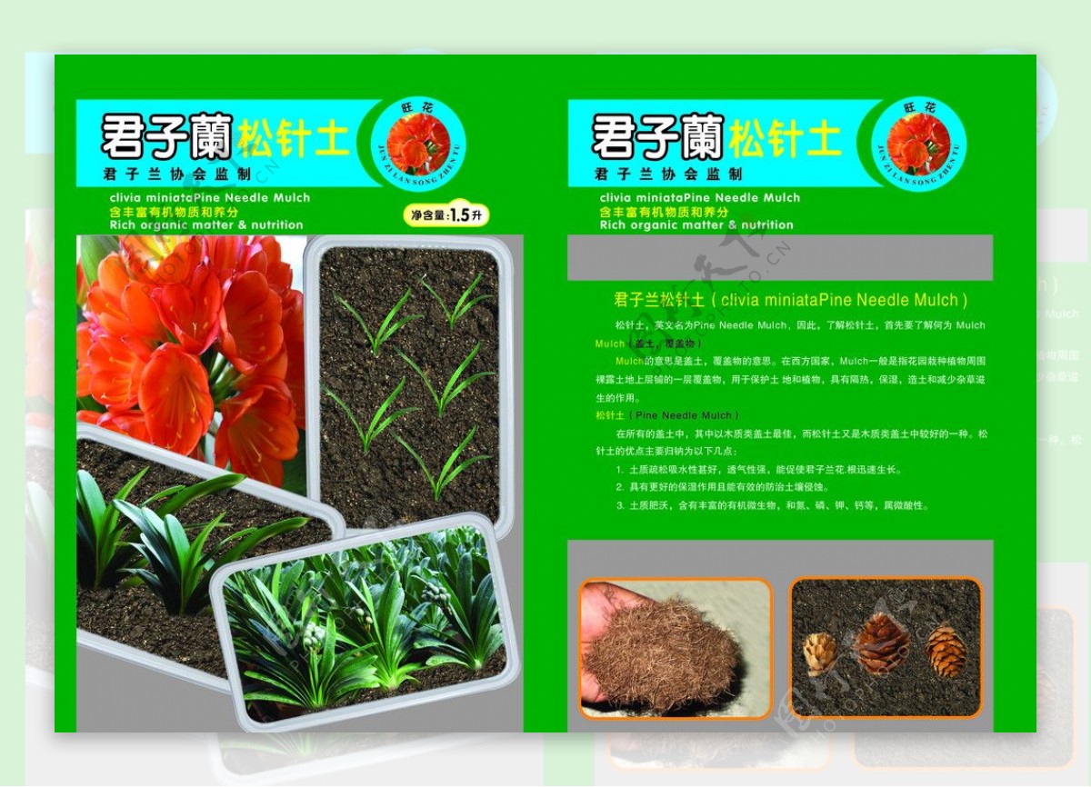 植物宣传页图片