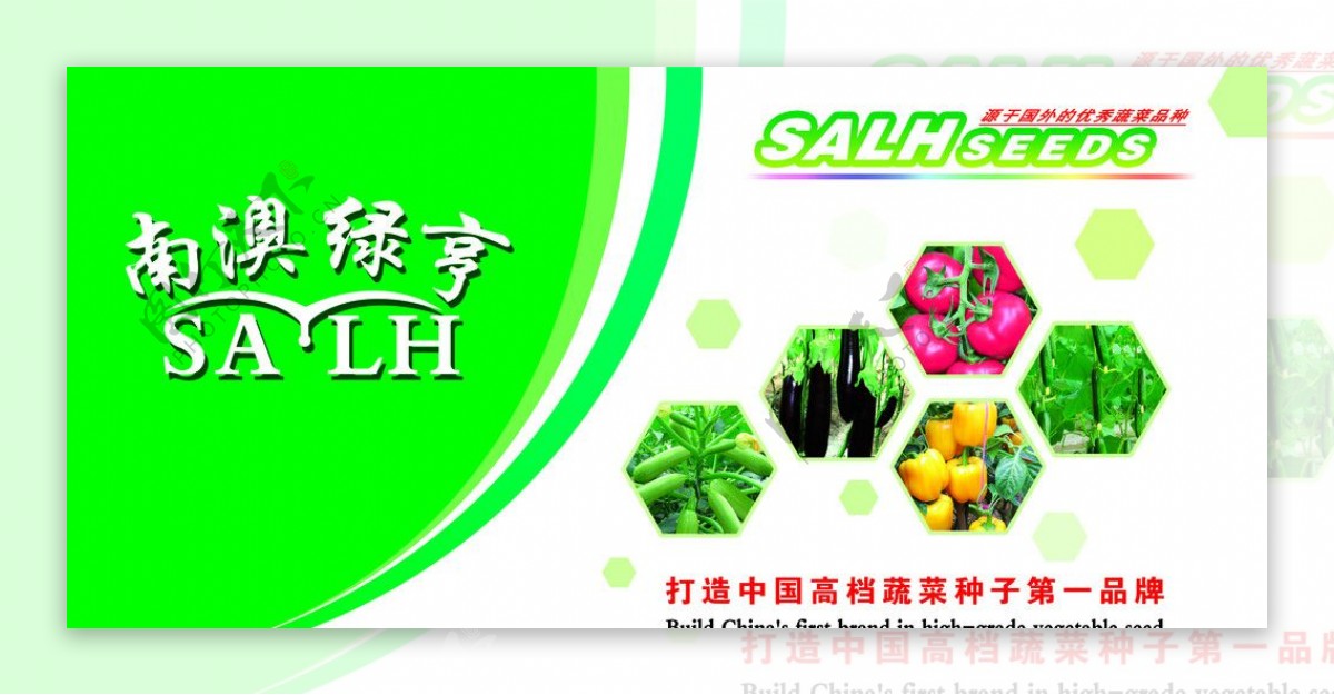 蔬菜品牌SALH图片