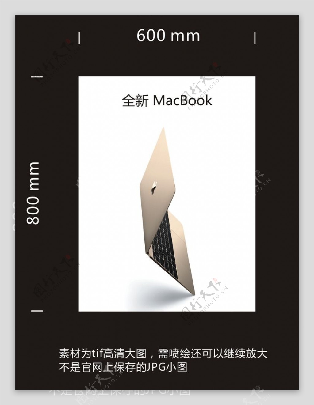 全新MacBook图片