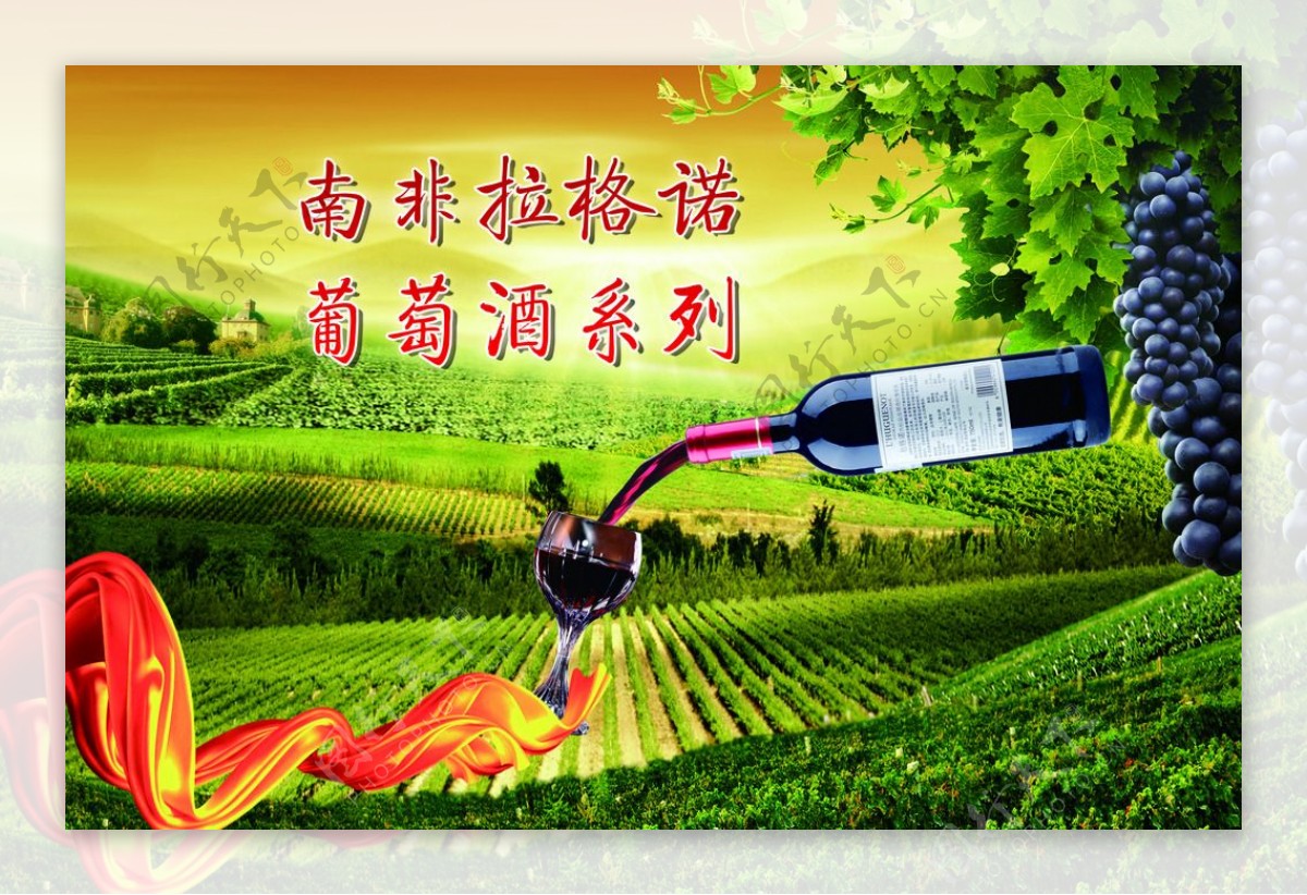 南非拉格诺葡萄酒系列海报图片