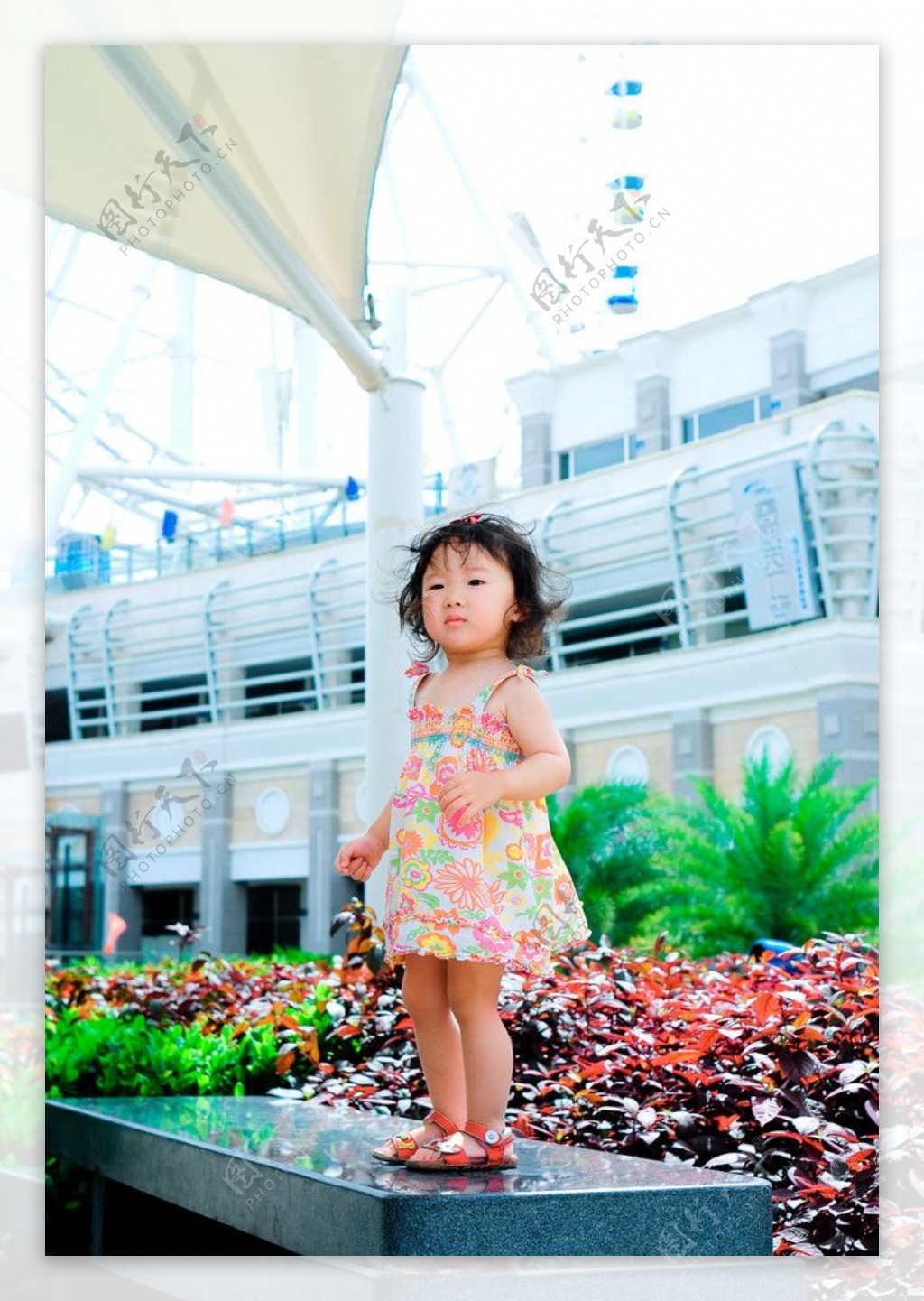 卷毛小公主2周岁照图片