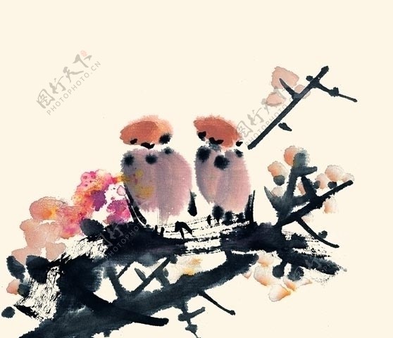 国画梅花枝头的小鸟图片