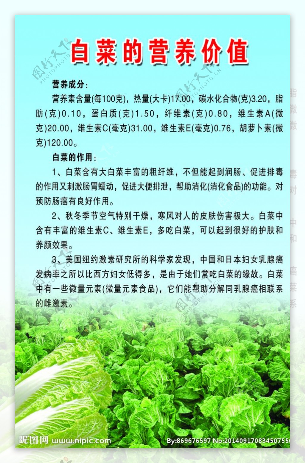 白菜的营养价值图片