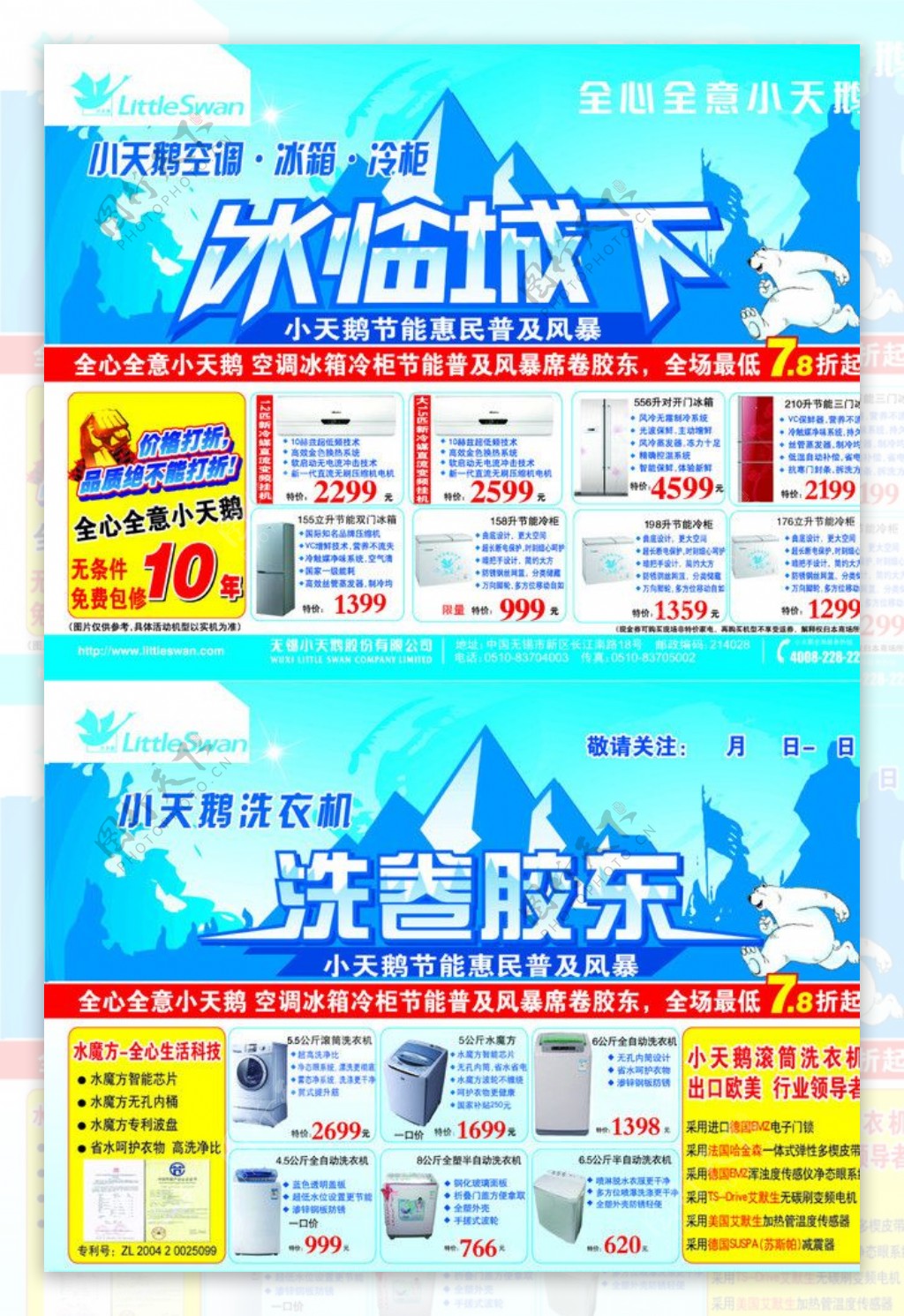 小天鹅彩页图片