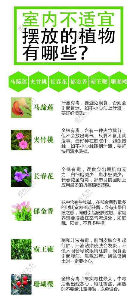 绿色植物x展架图片