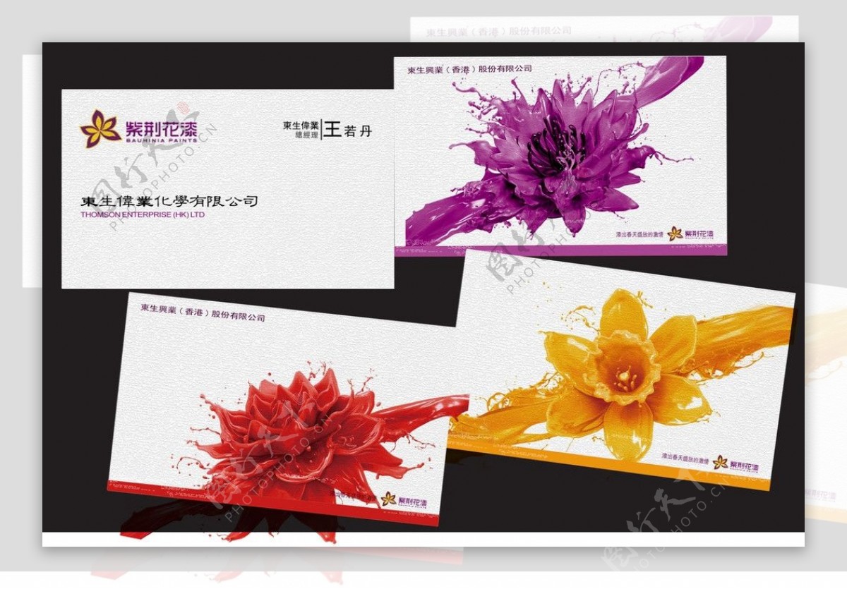 紫荆花漆名片模板图片