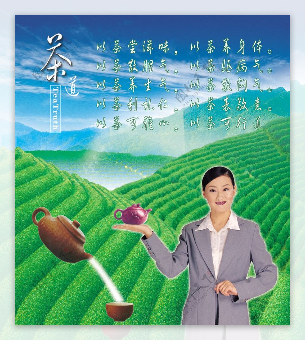 黄山茶庄茶园图片