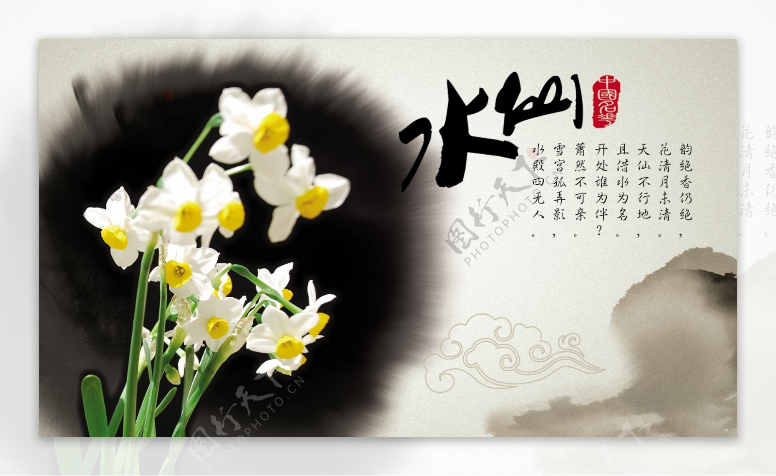 中国名花之水仙图片