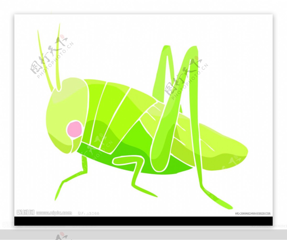 Insect Grasshopper Clipart PNG, Vector, PSD, and Clipart With ...