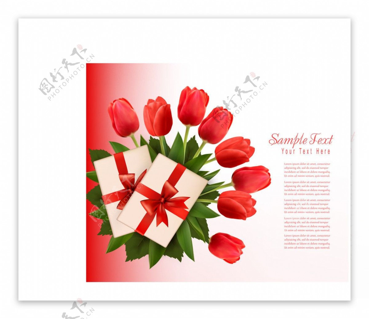 郁金香花卉卡片图片