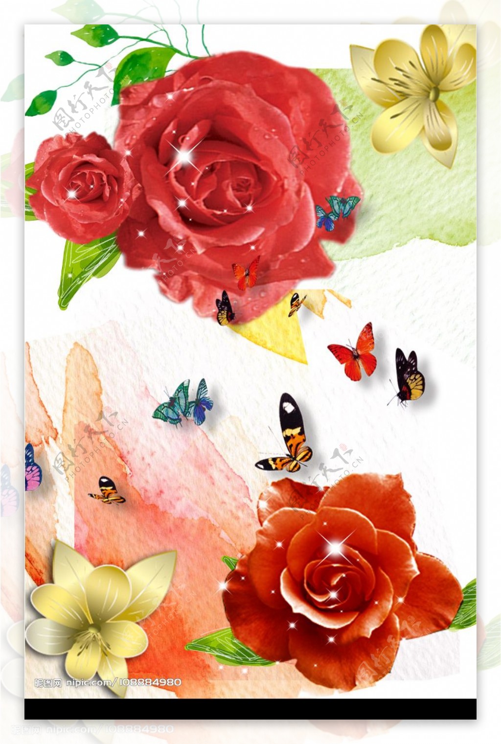 玫瑰花与蝴蝶图片