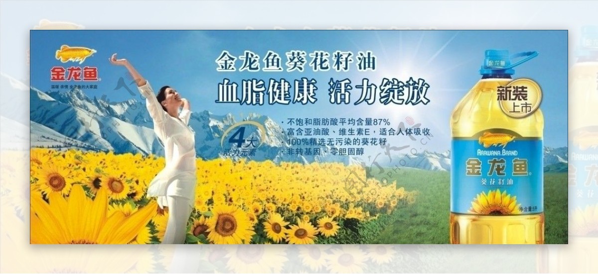 葵花籽油宣传海报图片