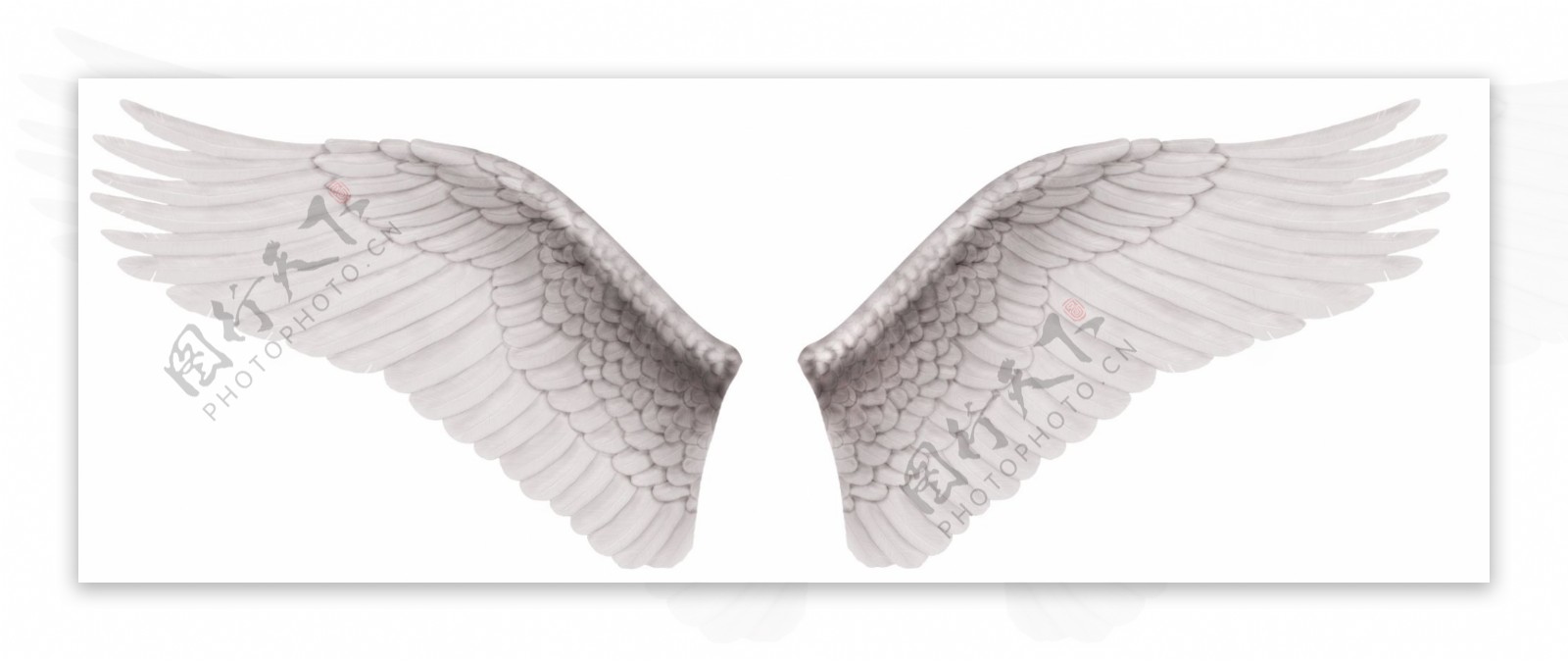 天使翅膀图片
